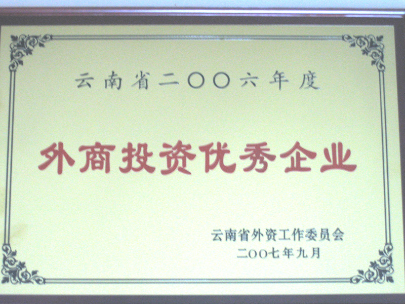 2006年度“外商投资优秀企业”