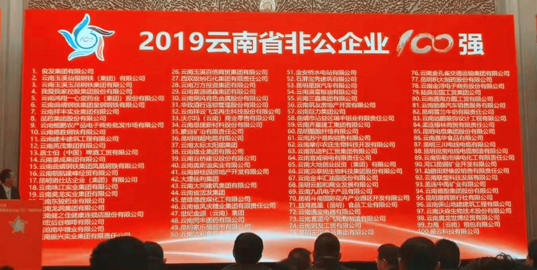 “2019云南省非公企业100强”